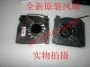 DELL D810  M70