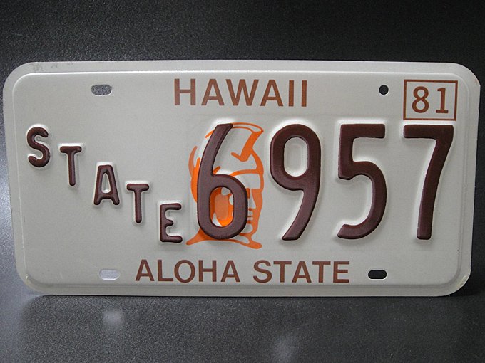 大人女性の HAWAII ハワイ ナンバープレート ライセンスプレート aloha