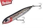 إɥ󡡥Υåס ʣأˣ ӣԡSpeckled Trout