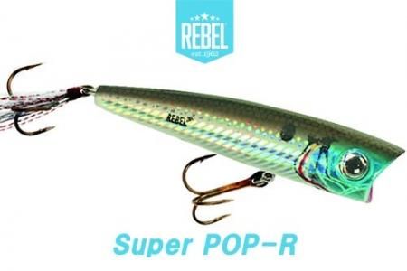 24年限定生産】レーベル スーパーポップR
