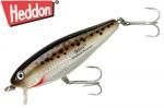 إɥ󡡥ߥ󥤥᡼/ʣأ ӣӣԡSpeckled Trout.