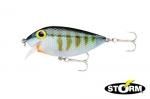 ȡࡡꥸʥ ե TF08-392Blue Gill