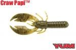 ࡡCRAW PAPI2.75