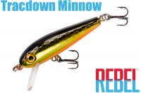 졼٥ ȥåߥΡ 3/32ozʣԣģ Slick Gold Minnow.