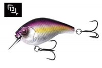 13 Fishing 　ＳＣＡＭＰ６０　（#PN：Purple Nurple）