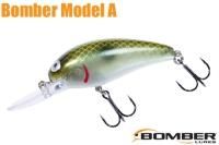 ܡޡǥ /ʣ£ͣ£ Green Pearl Shad