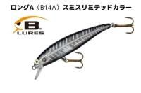 アメリカンルアー専門店 SAVAM （サバン）