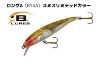 DVD ルアー・ザ・スピリット｜アメリカンルアー専門店 SAVAM （サバン）