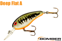 ܡޡեåȣǥ /ʣ£ͣ£ģƣ ££ϡBaby Bass Orange Belly