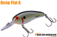 ܡޡեåȣǥ /ʣ£ͣ£ģƣ ԣӡTennessee Shad