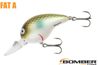 ܡޡեåȣ /ʣ£ͣ£ Green Pearl Shad