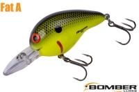 ܡޡեåȣ /ʣ£ͣ£ ƣ٣£ӡChartreuse Black Scales