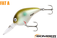 ܡޡեåȣ /ʣ£ͣ£ Green Pearl Shad