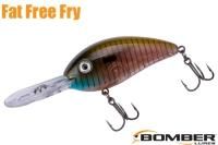 ܡޡեåȥե꡼ե饤 1/ʣ£ͣ£ģ Bluegill