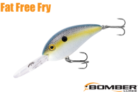 ܡޡեåȥե꡼ե饤 1/ʣ£ͣ£ģ ƣӡFoxy Shad