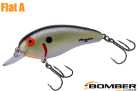 ܡޡեåȣ /ʣ£ͣ£ƣ ԣӡTennessee Shad