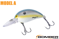 ܡޡǥ /ʣ£ͣ£ ƣӡFoxy Shad