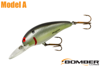ܡޡǥ /ʣ£ͣ£ ԣӡTennessee Shad