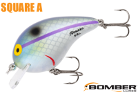 ܡޡ ʣ£ͣ£ӣ Alabama Herring