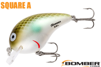 ܡޡ ʣ£ͣ£ӣ Green Pearl Shad