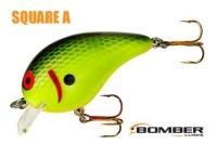 ܡޡ ʣ£ͣ£ӣ ƣ٣£ӡChartreuse Black Scales