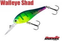 Bandit(バンディット)ルアー ｜アメリカンルアー専門店 SAVAM