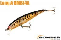ܡޡA3/8 BMB14AGPTBRO) GOLD PRISM/BLACK BACK & BARS/ORANGE BELLY