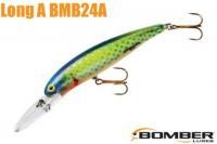 ܡޡǥ A BMB24A427) CHARTREUSE SHINER