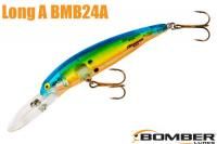 ܡޡǥ A BMB24ACHLO) CHARTREUSE FLASH BLUE BACK/ORANGE BELLY