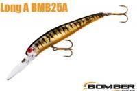 ܡޡǥ A (BMB25AGPTBRO) GOLD PRISM/BLACK BACK & BARS/ORANGE BELLY