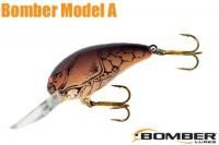 ʵǥ˥ǥ /ʣ£ أãDK BROWN CRAWDAD.