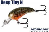 Ρޥ ǥץˡΡʣΣͣģԣ ORG BELLY CRAW