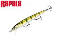 ѥ ե꡼(FE120:GDYP)ǥåɥѡ