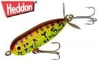 إɥ󡡥ˡȡԡ ʣأ £ңӡBrown Crawdad