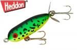 إɥ󡡥ˡȡԡ ʣأ ǣңFluorescent Green Crawdad
