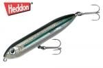 إɥ󡡥ѡסʣʣأ ӣ͡Silver Mullet