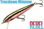 レーベル トラクダウンミノー 5/32oz（ＴＤ５０ ４９３）Slick Rainbow Trout