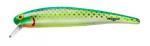 ܡޡ󥰣/ ʣ£ CITRUS MINNOW.