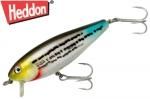 إɥ󡡥ߥ󥤥᡼/ʣأ ӣӣԣ͡Striped Mullet.