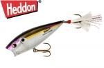 إɥ󡡥ݥåץ󥤥᡼ /ʣأ ģԣӡTennessee Shad