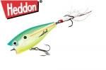إɥ󡡥ݥåץ󥤥᡼ʣ /ʣأ ģãӡCitrus Shad.