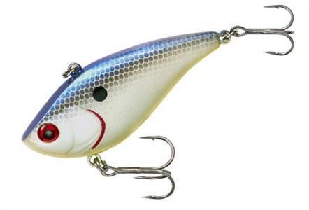 バンバンの実 アメリカンルアー専門店 SAVAM （サバン）