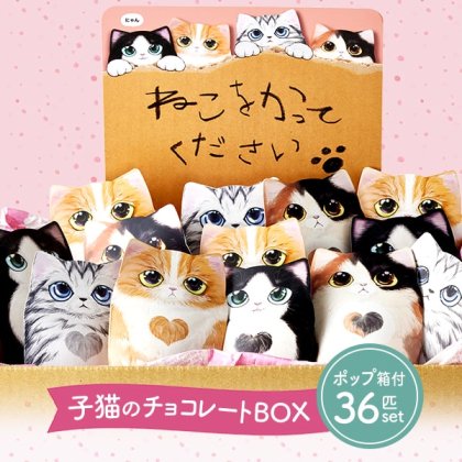 スイーツ ギフト チョコレート コフレシャトン 子猫 4柄 36個入 セット