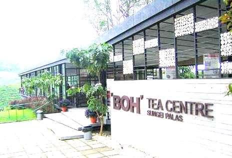 ★BOHCAFE★（ＢＯＨ紅茶・ＢＯＨＴＥＡ激安）すべて税込価格、注文数が少ない場合は（５個まで）お得な定形外（日時指定不可）で対応、９個まではゆうパックで対応、曜日時間指定可、最小サイズの料金でお得です。