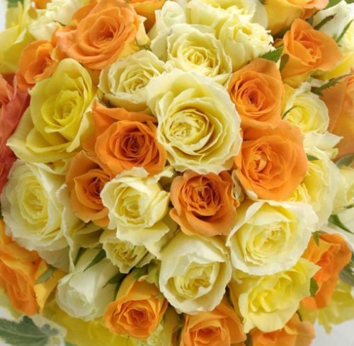 おまかせ黄色 オレンジ系スタンド花15 花金 公式ホームページ 花金は富山県高岡市より全国へ高品質なお花をご提供しております