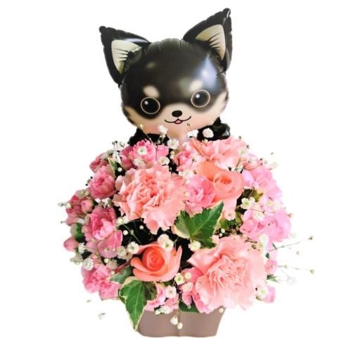 バルーン 犬 黒 ブラック お花畑 フラワーアレンジメント ぴんく 花金 公式ホームページ 花金は富山県高岡市より全国へ高品質なお花をご提供しております