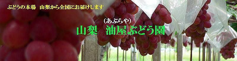 ֤ɤ४饤󥷥å