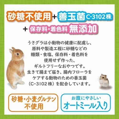 「くらてうさぎ　様」専用 GEX うさぐら 緑の野菜 | グルテンフリーなおやつ - うさぎ専門