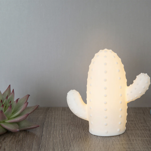 DETAIL (ǥƥ) Cactus LED Light - S