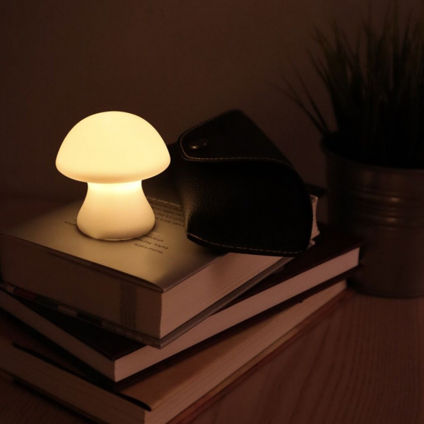 DETAIL (ǥƥ) Mushroom Light - S